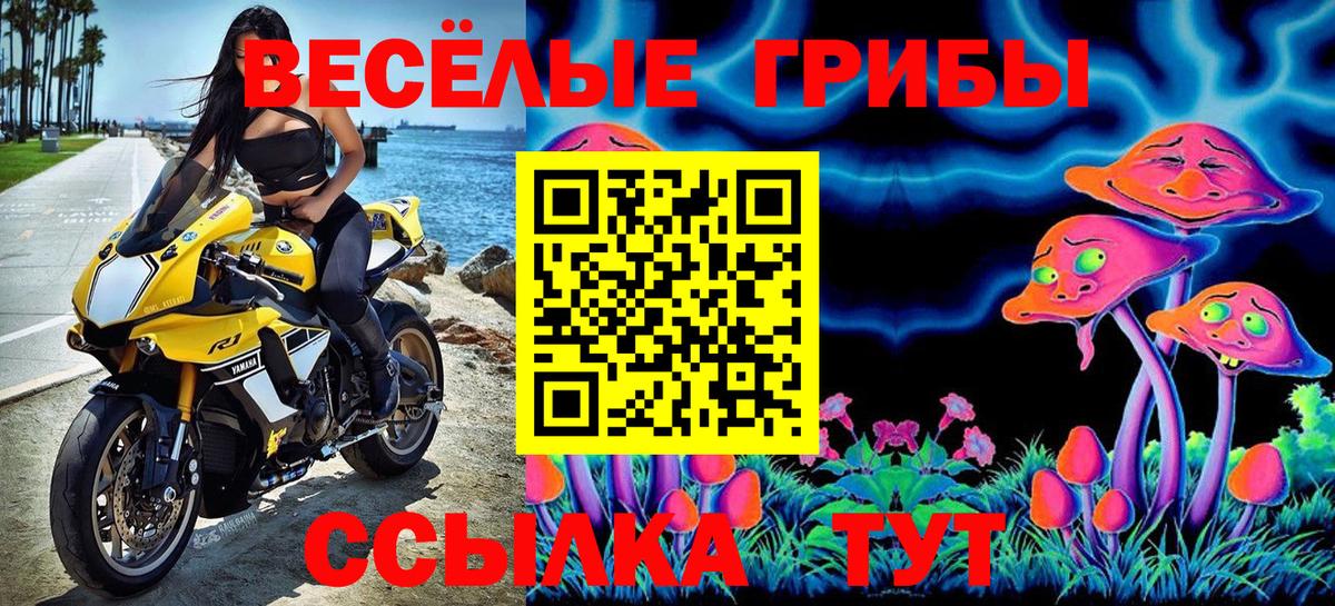 Березники  Псилоцибиновые грибы MAGIC MUSHROOMS  Вход с VPN 